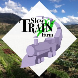 Slow Train Farm