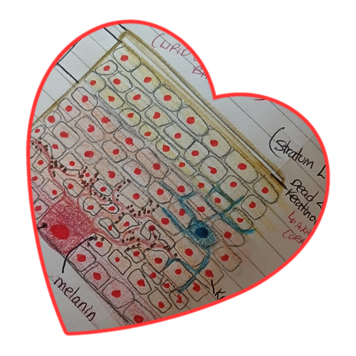 Earthy Girl Botanicals